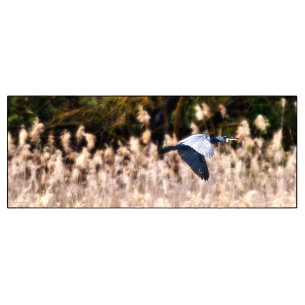 PHOTO84, CLUB, 84 , LUBERON